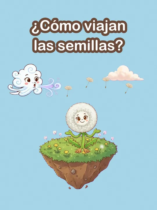 How Do Seeds Travel?